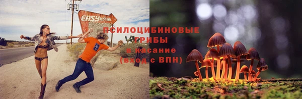 трава Алзамай