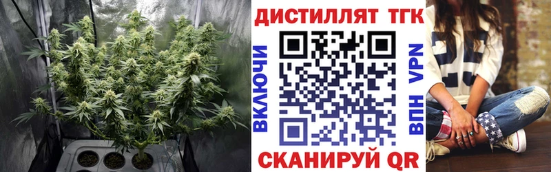 блэк спрут как зайти  Чебаркуль  ТГК концентрат  закладка 