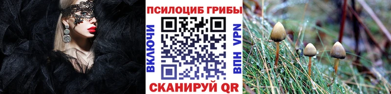 Галлюциногенные грибы Magic Shrooms  Чебаркуль 